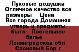 Пуховые додушки.Отличное качество,все размеры. › Цена ­ 200 - Все города Домашняя утварь и предметы быта » Постельное белье   . Ленинградская обл.,Сосновый Бор г.